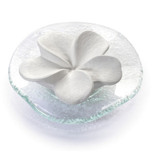 Primavera Jasmine (Frangipani) with wavy glass base Aromatic Stone