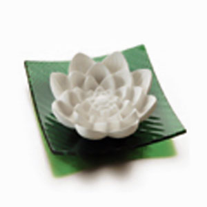Primavera Plaster Device Water Lily Stone Diffuser Aromatic Stone