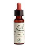 Bach Clematis - 20ml