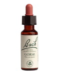 Bach Gorse - 20ml