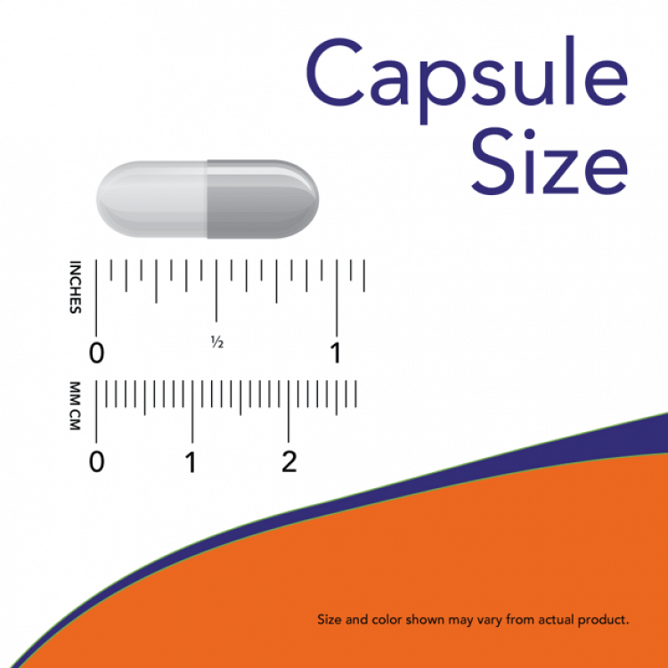 Now Foods L Carnosine 500mg 50 φυτικές κάψουλες