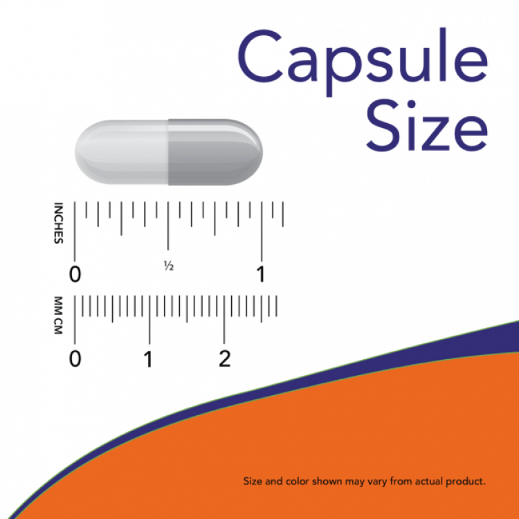 Now Foods Choline & Inositol 500mg Συμπλήρωμα για το Άγχος 100 κάψουλες