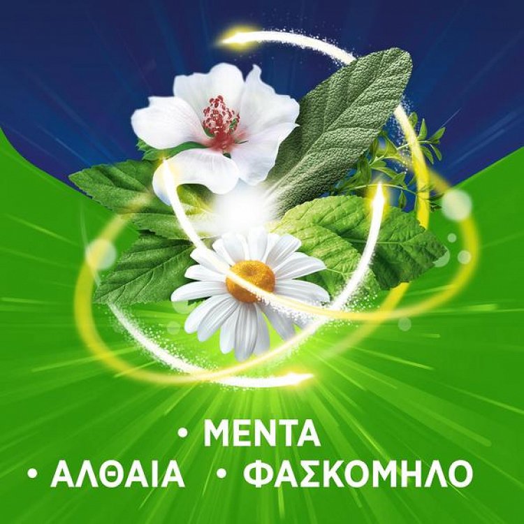 Pan Natural Παστίλιες με Φυσικά Εκχυλίσματα 16τμχ Βατόμουρο