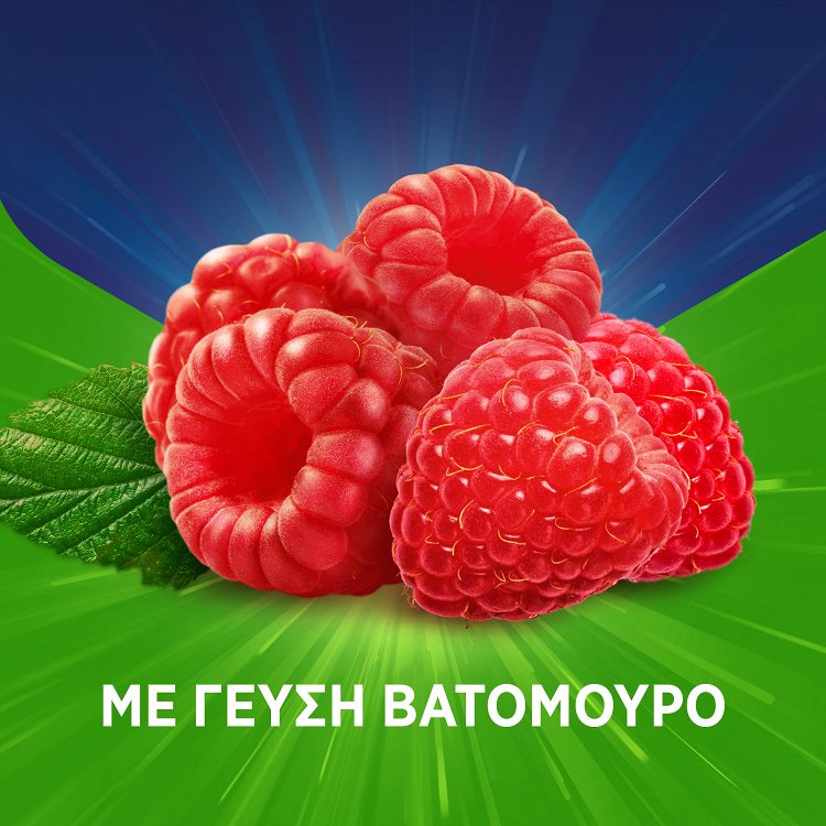 Pan Natural Παστίλιες με Φυσικά Εκχυλίσματα 16τμχ Βατόμουρο