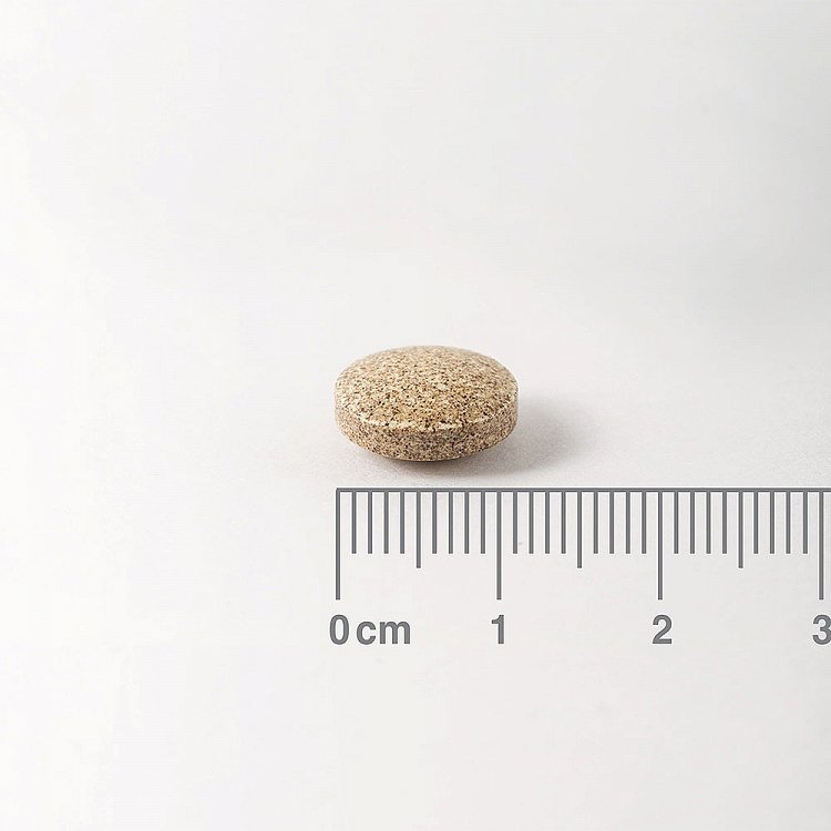 Lamberts Ginkgo Biloba Extract 6000mg 180 ταμπλέτες
