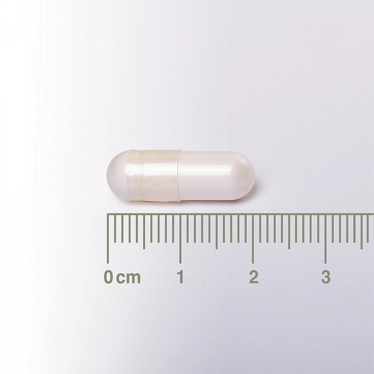 Lamberts Neuro-Logical Pea 60 κάψουλες