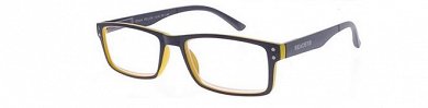Readers RD604 Presbyopia Glasses
