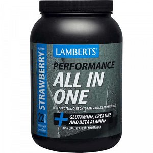 Lamberts All in One Φράουλα 1450g