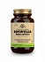 Solgar SFP Boswellia Resin Extract 60 φυτικές κάψουλες