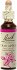 Bach Crab Apple Ανθοΐαμα σε Σταγόνες 20ml