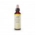 Bach Hornbeam - 20ml