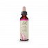 Power Health Bach Larch - 20ml