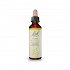 Bach Olive 20ml