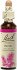 Bach Pine  20ml