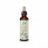 Bach Walnut - 20ml