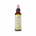 Bach White Chestnut - 20ml