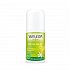 Weleda Citrus Αποσμητικό 24h σε Roll-On Χωρίς Αλουμίνιο 50ml
