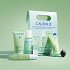 Caudalie Vinopure Kit – Φυσική φροντίδα για λιπαρή & ακνεϊκή επιδερμίδα