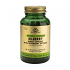Solgar Berry Bilberry Extract 60 φυτικές κάψουλες