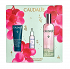 Caudalie Beauty Elixir Xmas Σετ Περιποίησης