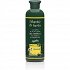 Anemos Mastic & Herbs Σαμπουάν για Παιδιά και Συχνή Χρήση 300ml