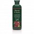 Anemos Mastic & Herbs Σαμπουάν για Ξηρά, Βαμμένα & Ταλαιπωρημένα Μαλλιά 300ml