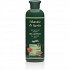 Anemos Mastic & Herbs Σαμπουάν για Κανονικά Μαλλιά 300ml