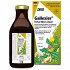Power Health Floradix Gallexier 250ml