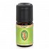 Primavera Τζίντζερ (Πιπερόριζα) (Ginger) Bio 5ml Αιθέριο Έλαιο