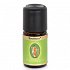 Primavera Δεντρολίβανο ( Rosemary Oil) Bio 5ml Αιθέριο Έλαιο