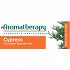 Ayurveda Cypress Αιθέριο Έλαιο 10ml