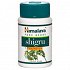 Himalaya Shigru (Βότανα-Αρθρώσεις)