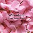 Origins Original Skin Renewal Serum with Willowherb, 30ml